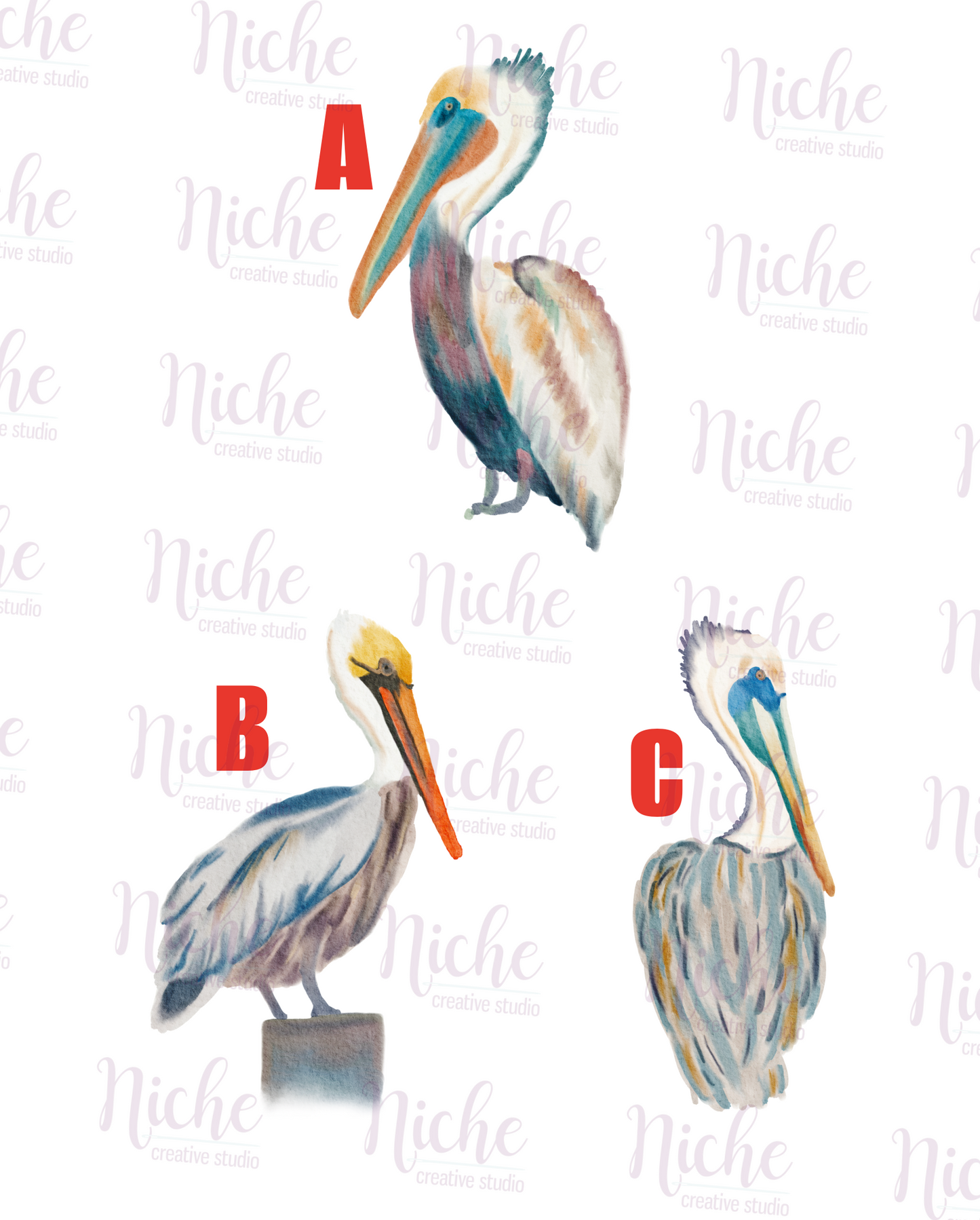 -ANI333 Pelican Decal
