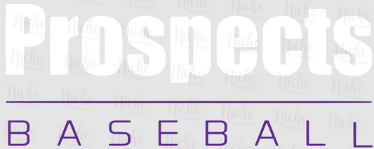 -BAS1656 Prospects Baseball 2 Decal
