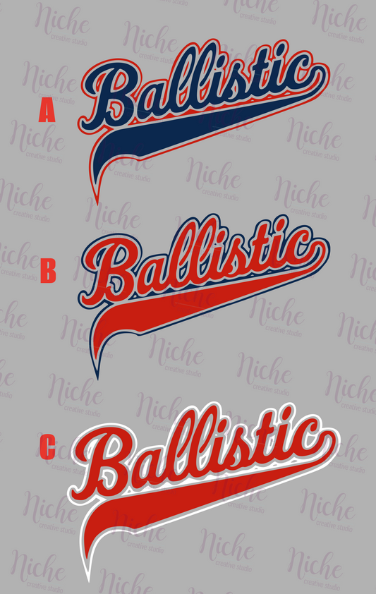 -BAS3087 Ballistic Swoosh Decal