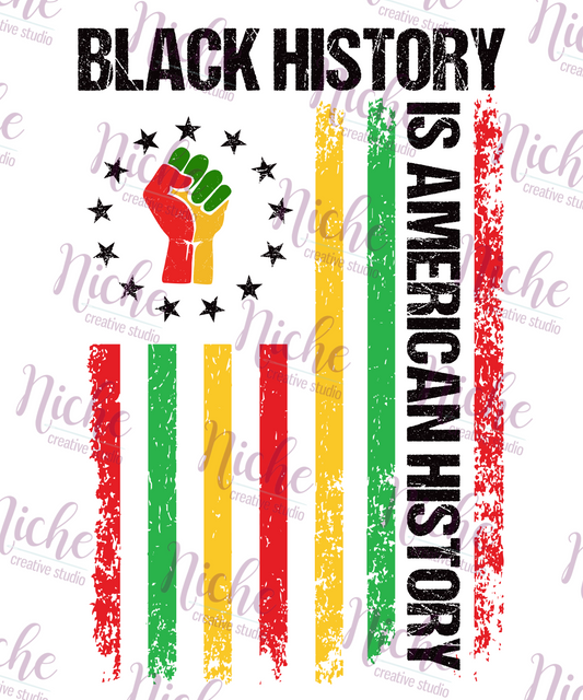 -BHM8081 American History Decal