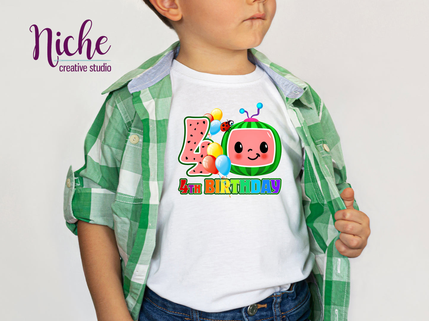 -BIR1795 Melon Birthday Decal