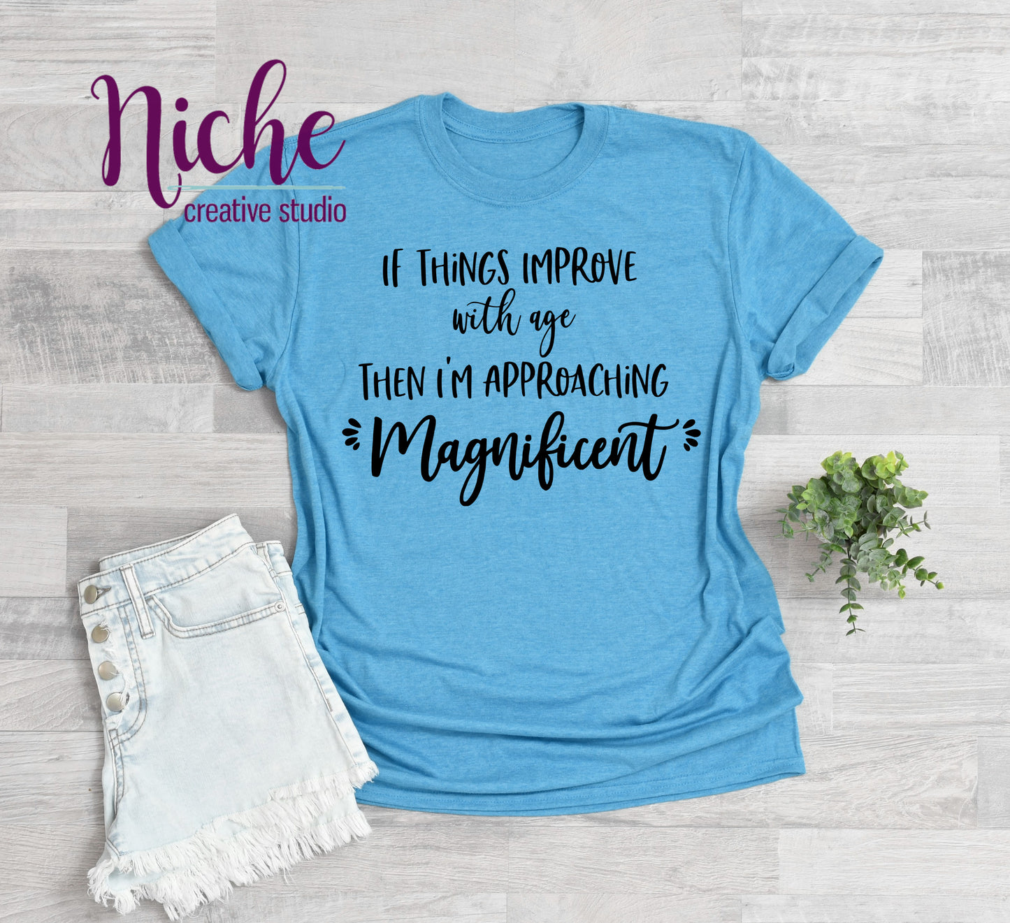 -BIR877 Approaching Magnificent Decal