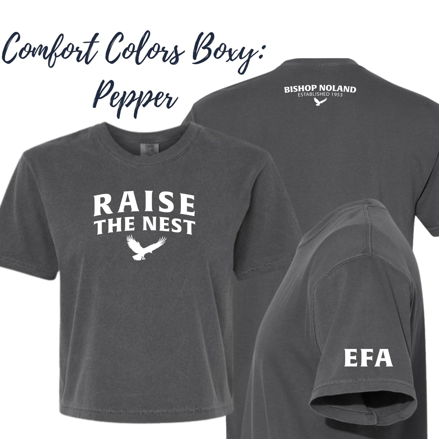Raise the Nest Eagle Family Association Comfort Colors Boxy Shirt