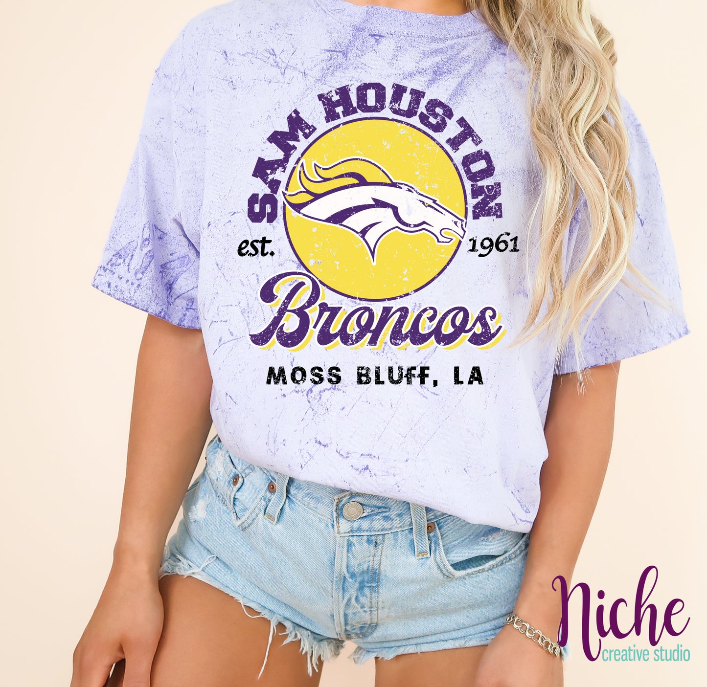 -BRO8275 Sam Houston Broncos Old School Decal