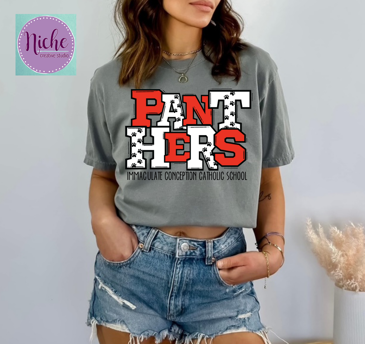 -ICCS8254 ICCS Panthers Decal