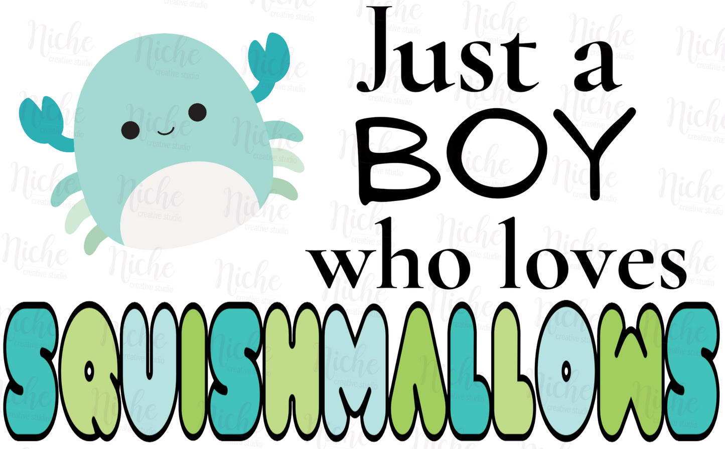 -KID1868 Boy Who Loves Squishmellows Decal