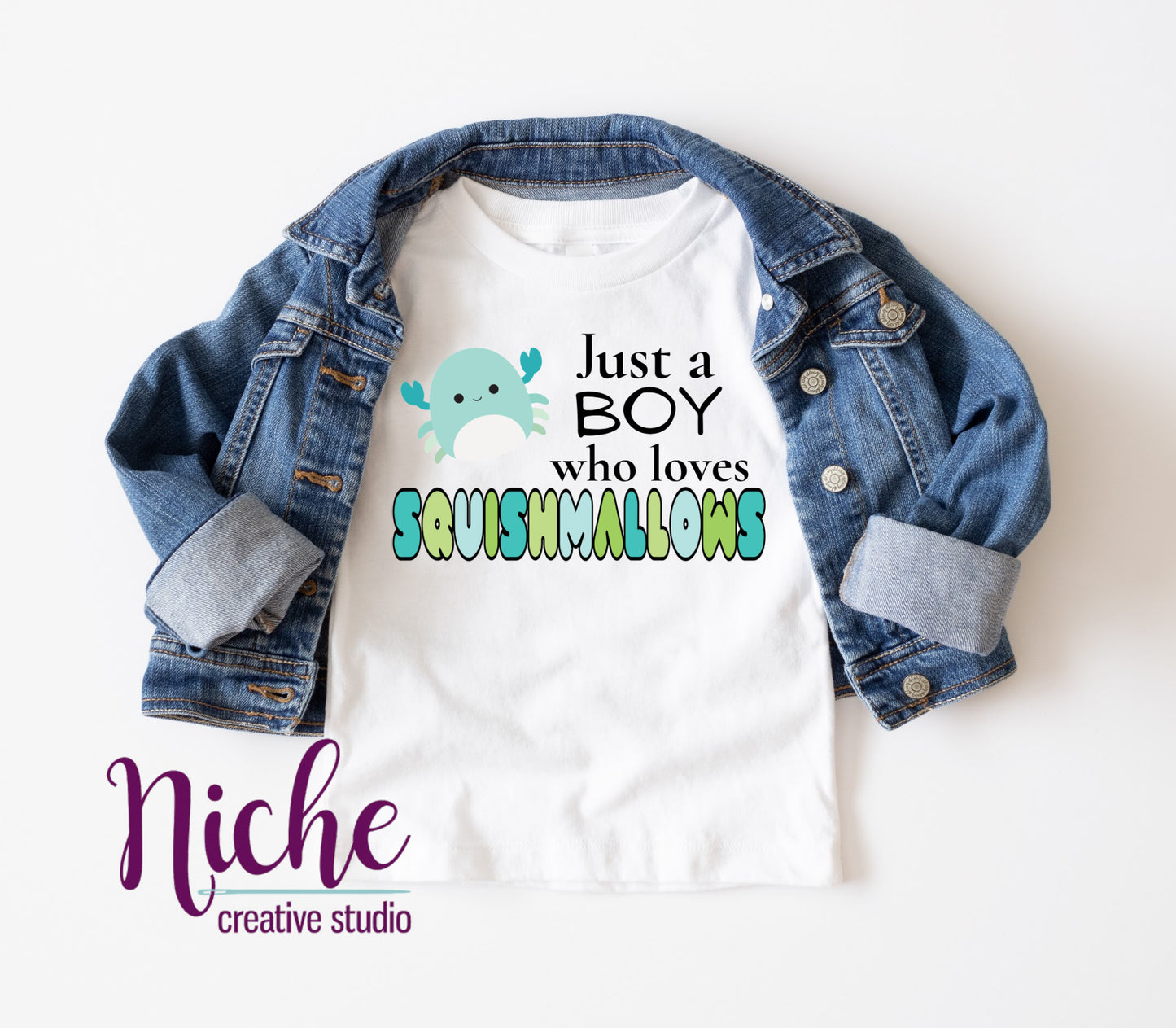 -KID1868 Boy Who Loves Squishmellows Decal