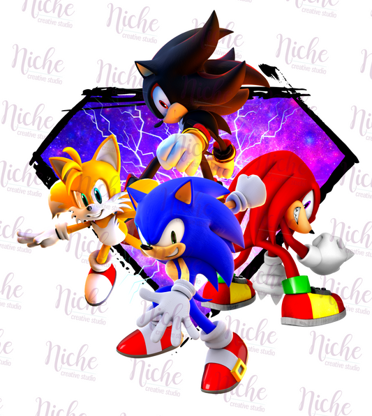 -KID499 Sonic Team Decal