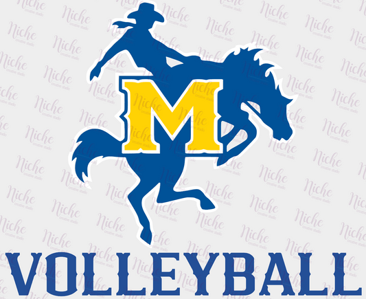-MCN3880 Horse N Rider Volleyball Decal
