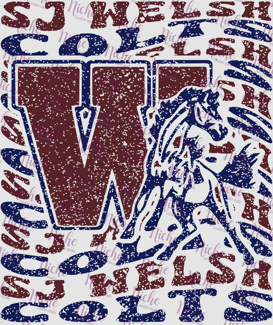 - SJW513 SJ Welsh Colts Distress Decal