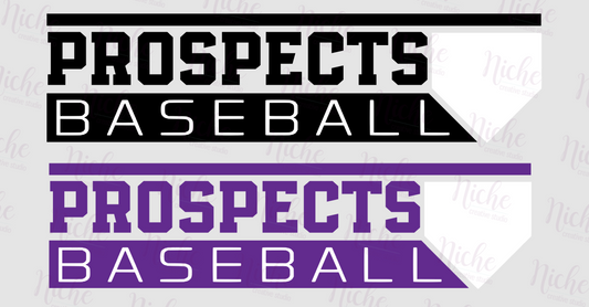 -BAS1657 Prospects Baseball Decal