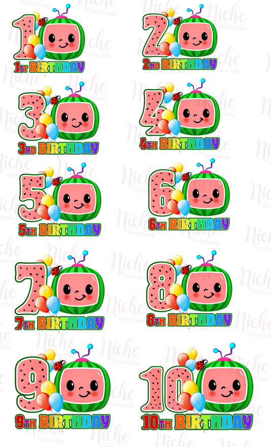 -BIR1795 Melon Birthday Decal