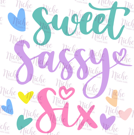 -BIR 579 Sweet Sassy and Six Decal