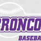 -BRO3098 Broncos Baseball Decal