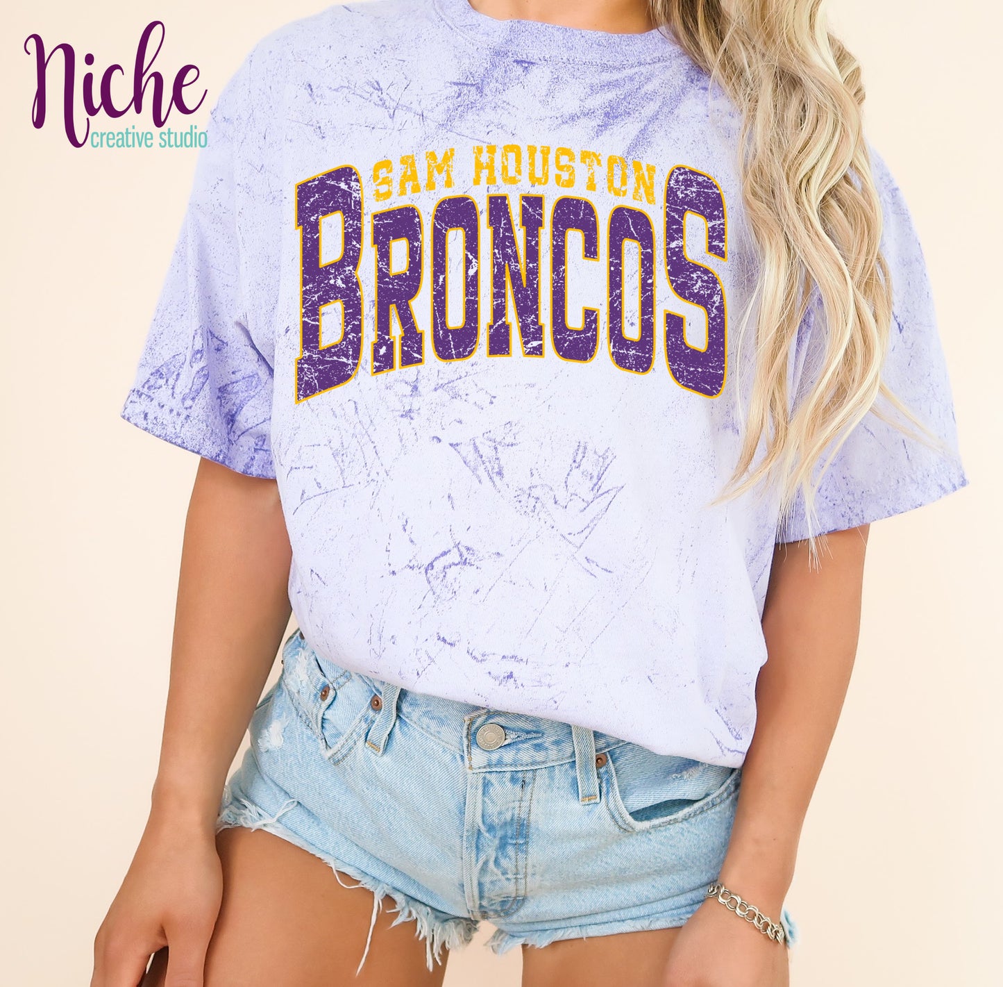 -BRO8302 Sam Houston Decal