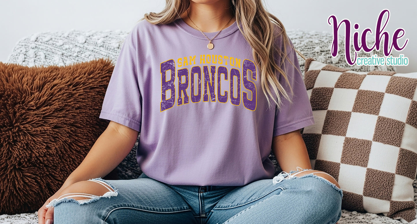 -BRO8302 Sam Houston Decal