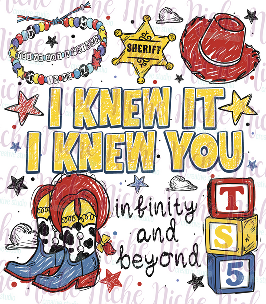 -DIS8622 I knew It Decal