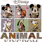 -DIS905 Animal Kingdom Cards Decal