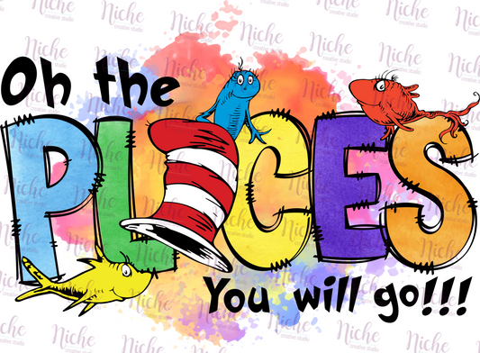 -DRS1347 Oh The Places Decal