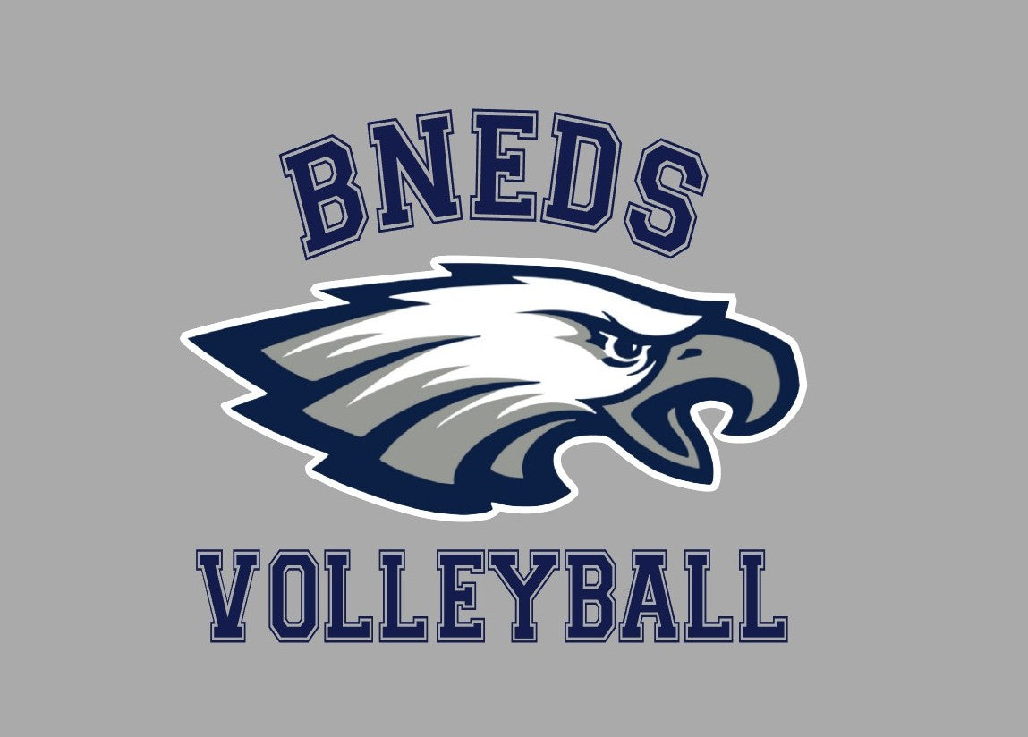 EDS4461 BNEDS Eagle Volleyball