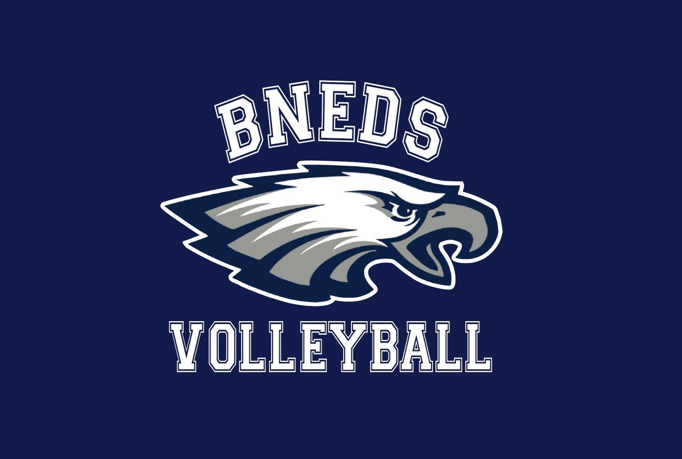 EDS4461 BNEDS Eagle Volleyball