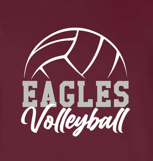 - FBC584 Eagles Volleyball Decal