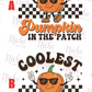 -FAL5213 Coolest Pumpkin In The Patch Decal