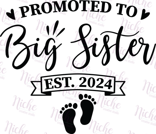 -FAM1556 Promoted to Big Sis Decal