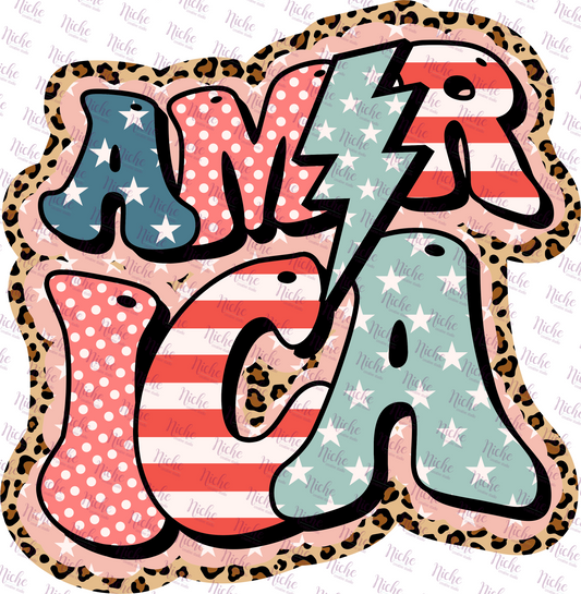 - FOU243 America Retro Decal