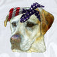 - FOU2540 USA Yellow Lab Decal