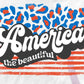 - FOU2544 America the Beautiful Stripes Decal