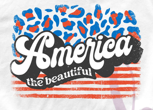 - FOU2544 America the Beautiful Stripes Decal