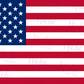 -FOU2552 USA Flag Decal