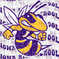 - IOW479 Iowa Jackets Distress Decal