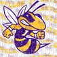 - IOW479 Iowa Jackets Distress Decal