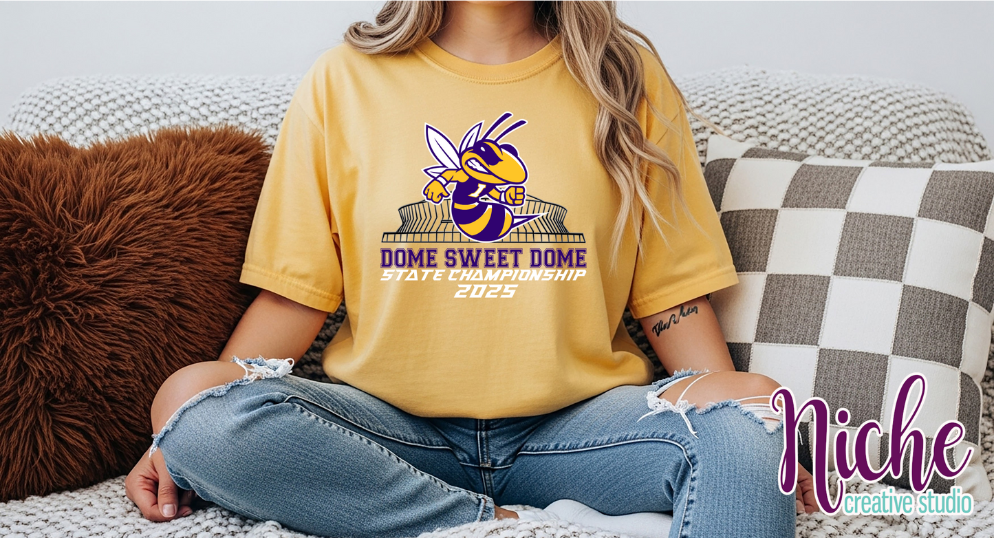 -IOW8600 Dome Bound Decal