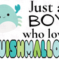 -KID1868 Boy Who Loves Squishmellows Decal