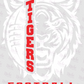 -LAK752 Lake Arthur Football Decal