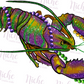 -MAR2951 Mardi Gras Lobster Decal