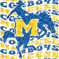 - MCN457 McNeese Distressed Decal