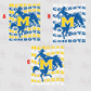 - MCN457 McNeese Distressed Decal