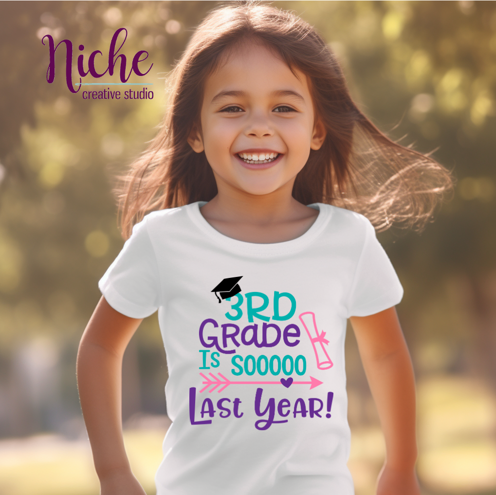 -SCH8113 So Last Year Decal