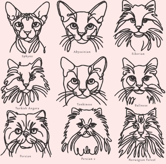 Pet Cat Embroidered Sweatshirt or T-shirt