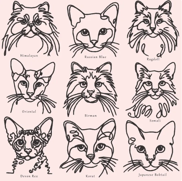 Pet Cat Embroidered Sweatshirt or T-shirt