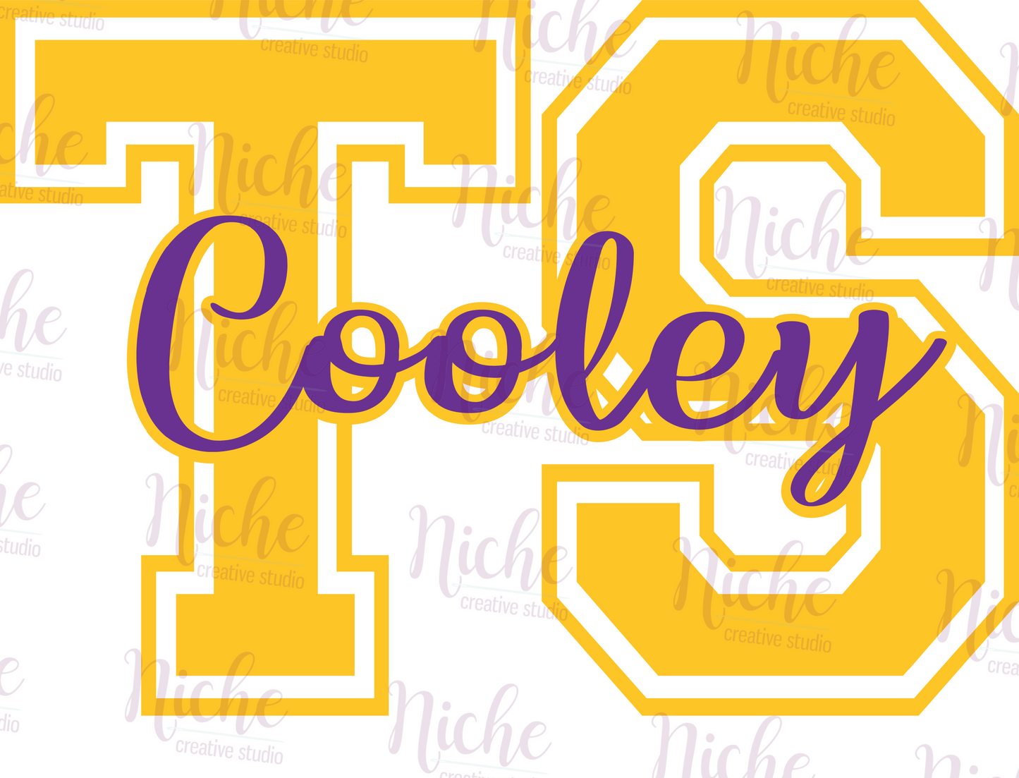 -TSC3029 TS Cooley Letterman Decal