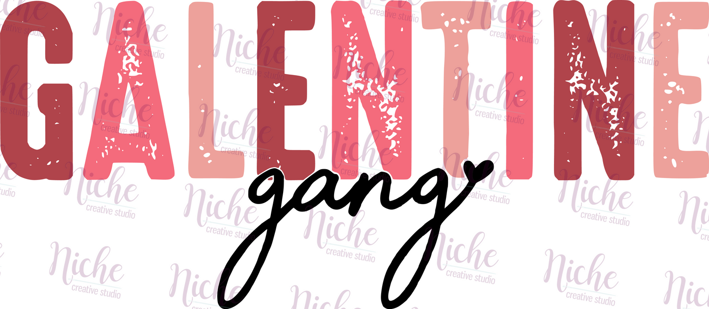 -VAL3040 Pinks Galentine Gang Decal