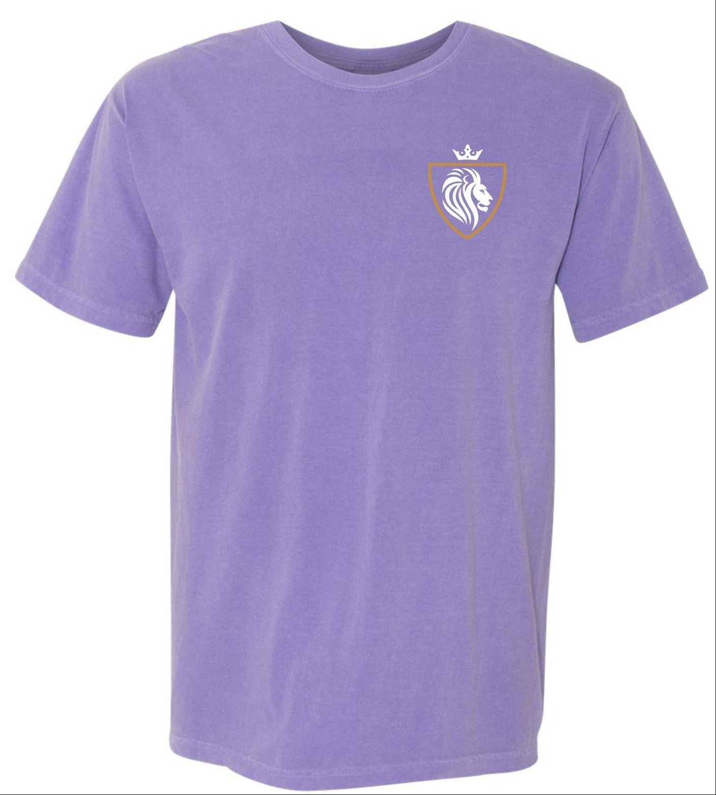CGA026 Distressed T-shirt - Comfort Colors Violet Adult