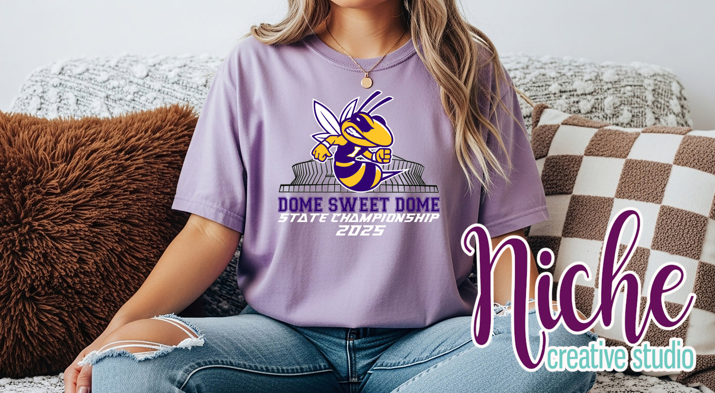 -IOW8600 Dome Bound Decal