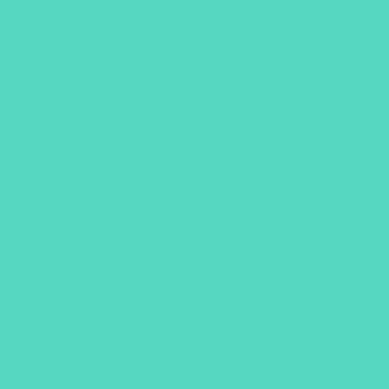 Solid Glossy 12" x 5ft Roll (Siser Easyweed)