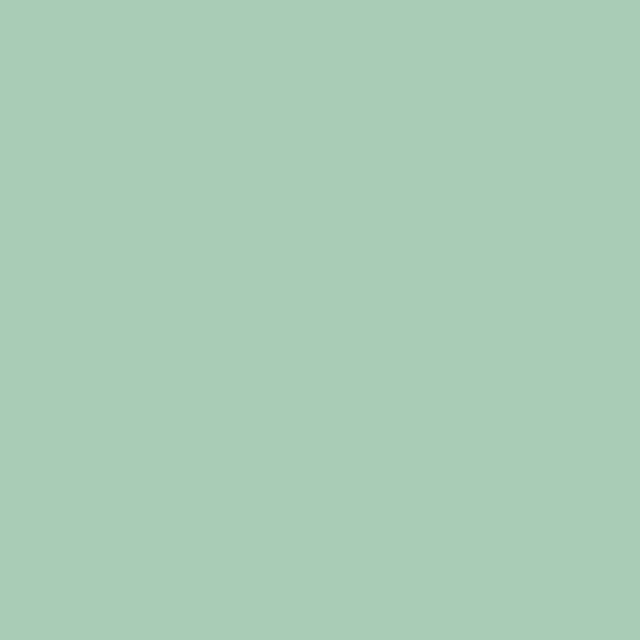 Solid Glossy 12" x 5ft Roll (Siser Easyweed)